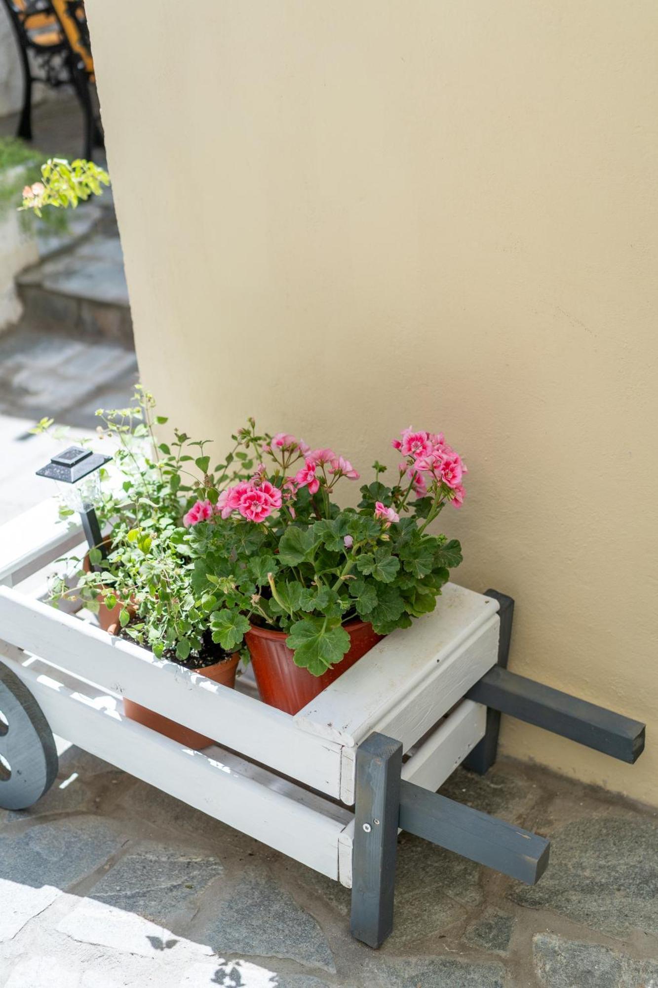 Spacious Home With Yard, Mytilene Lesvos Εξωτερικό φωτογραφία