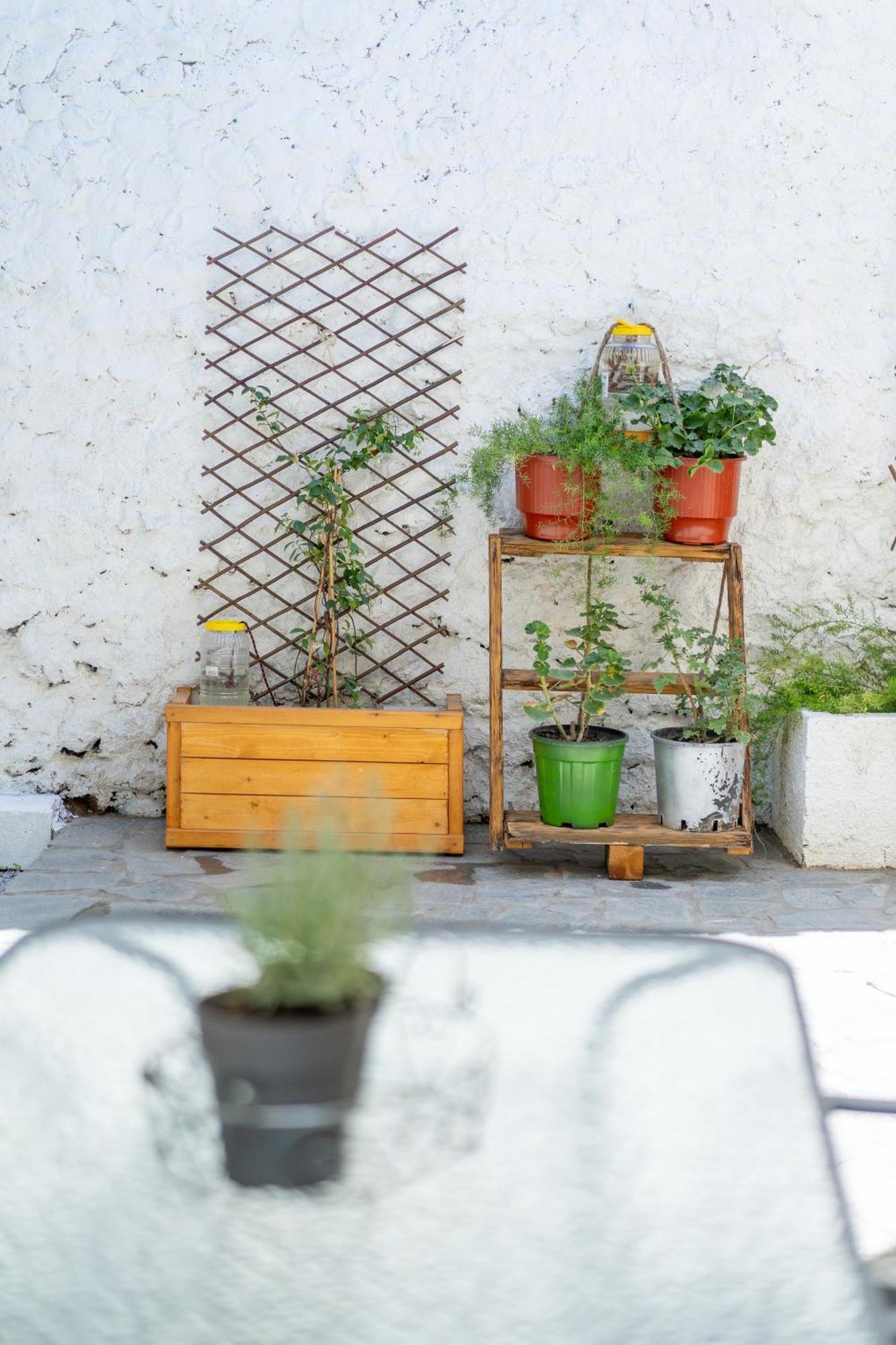 Spacious Home With Yard, Mytilene Lesvos Εξωτερικό φωτογραφία