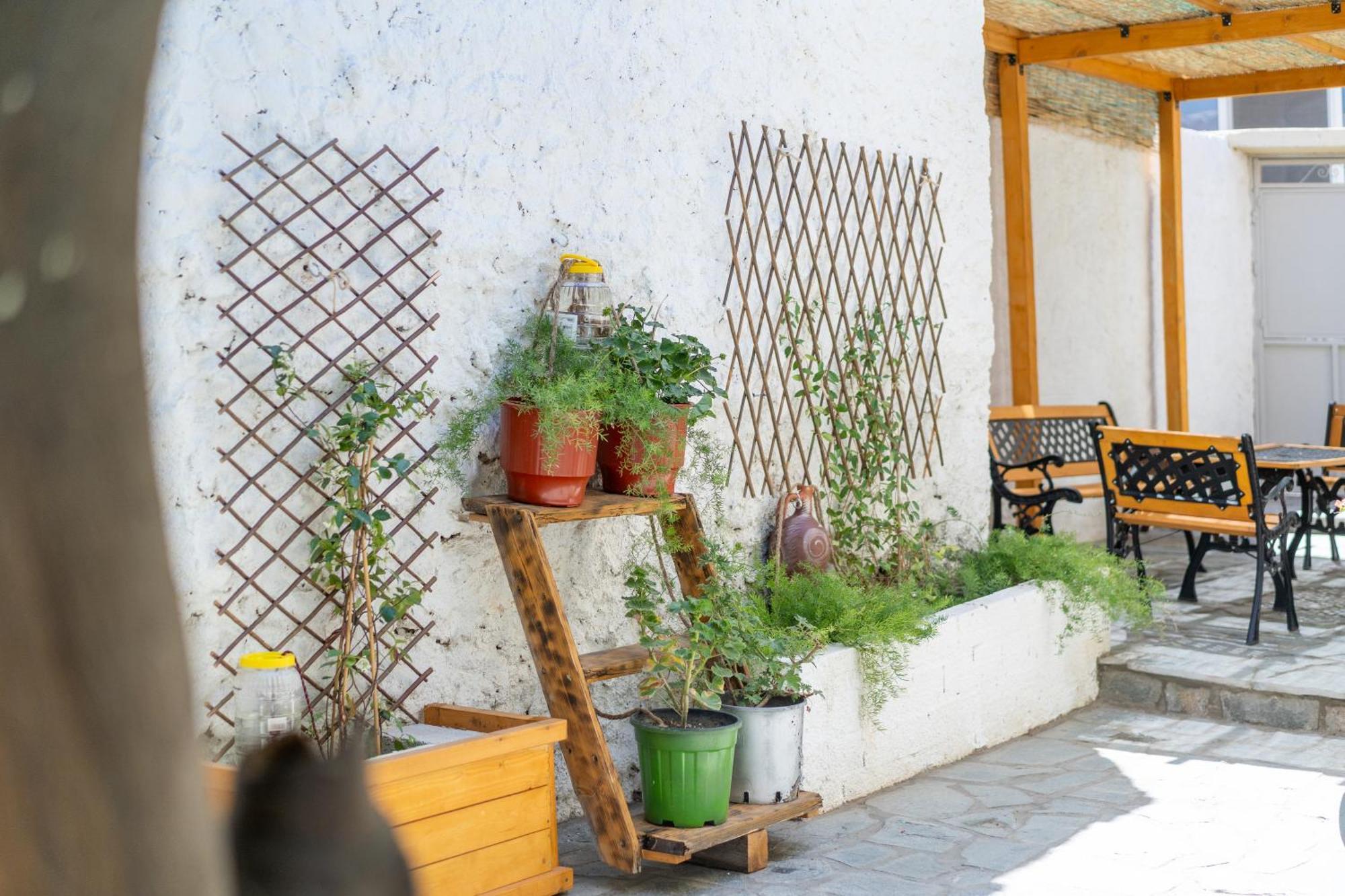 Spacious Home With Yard, Mytilene Lesvos Εξωτερικό φωτογραφία
